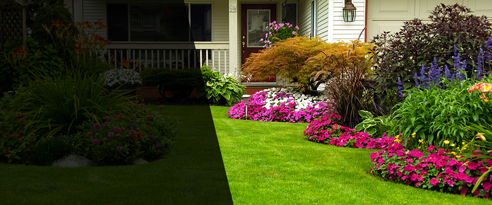 Garden Grove Landscapers