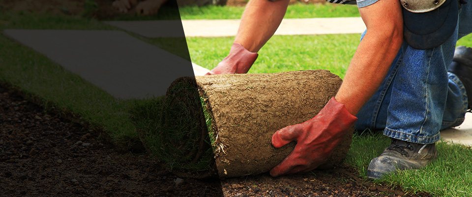 Garden Grove Landscapers